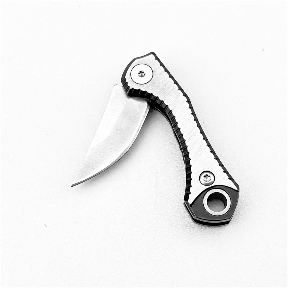Kleines EDC Klappmesser Leicht – Edc Every Day Carry おもちゃ Bewertung und Preis